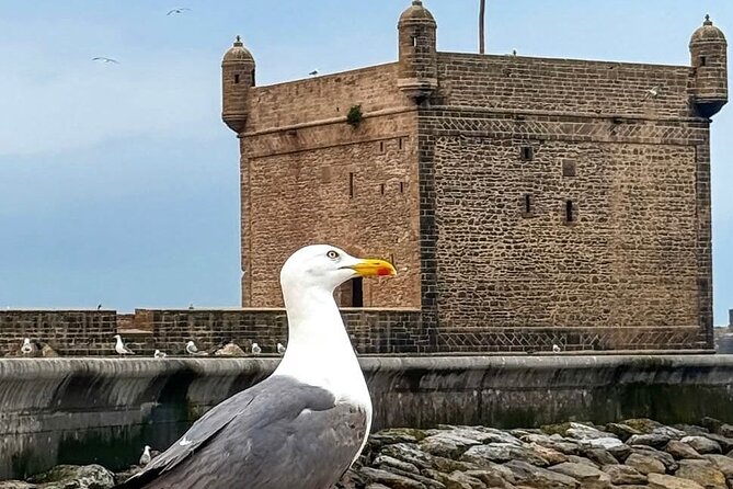 Marrakech to Essaouira Day Trip with Coastal Views - How a 10-hour Marrakech-to-Essaouira day stays practical
