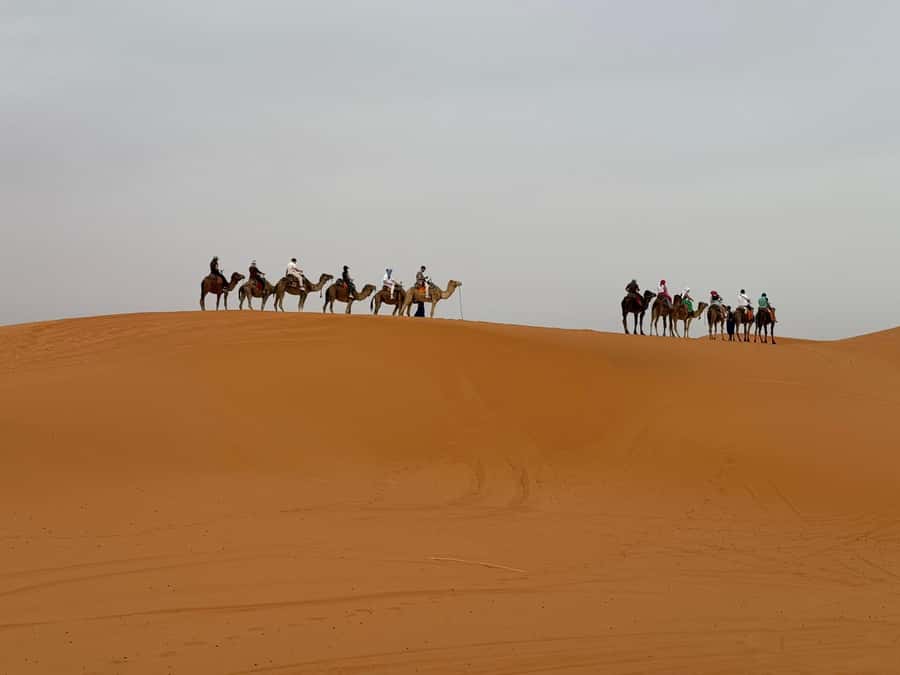 Marrakech To Fes: 3-Day Majestic Desert Sahara Tour - Who this tour suits best