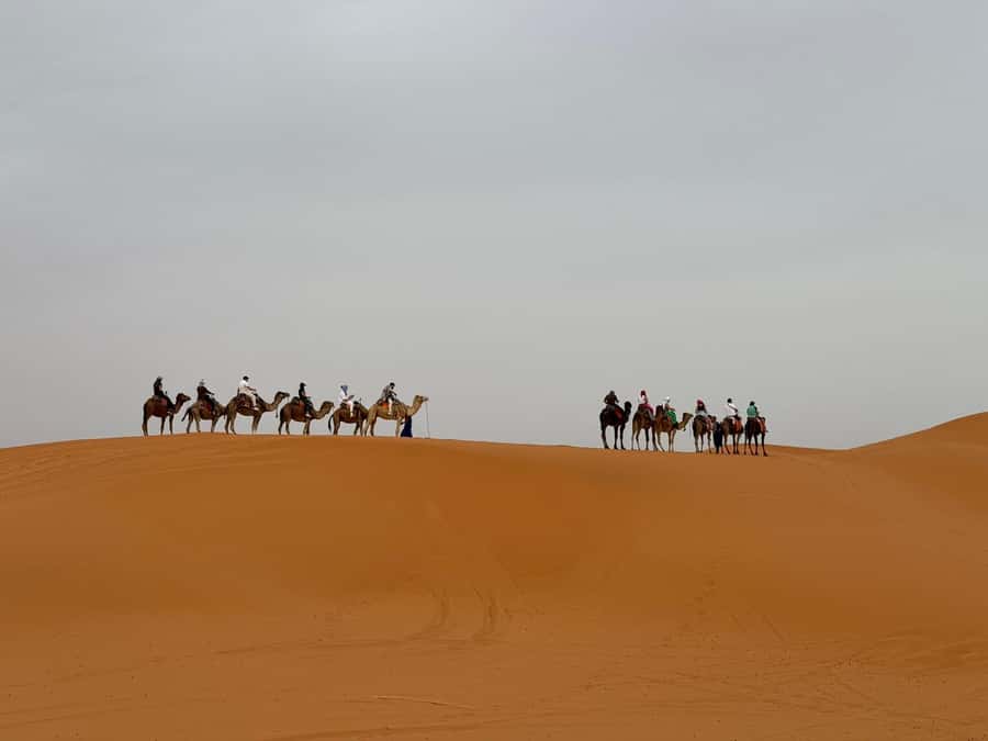 Marrakech to Fes 3-Day Sahara Desert Tour - Aït Ben Haddou UNESCO: how to make the most of a short stop