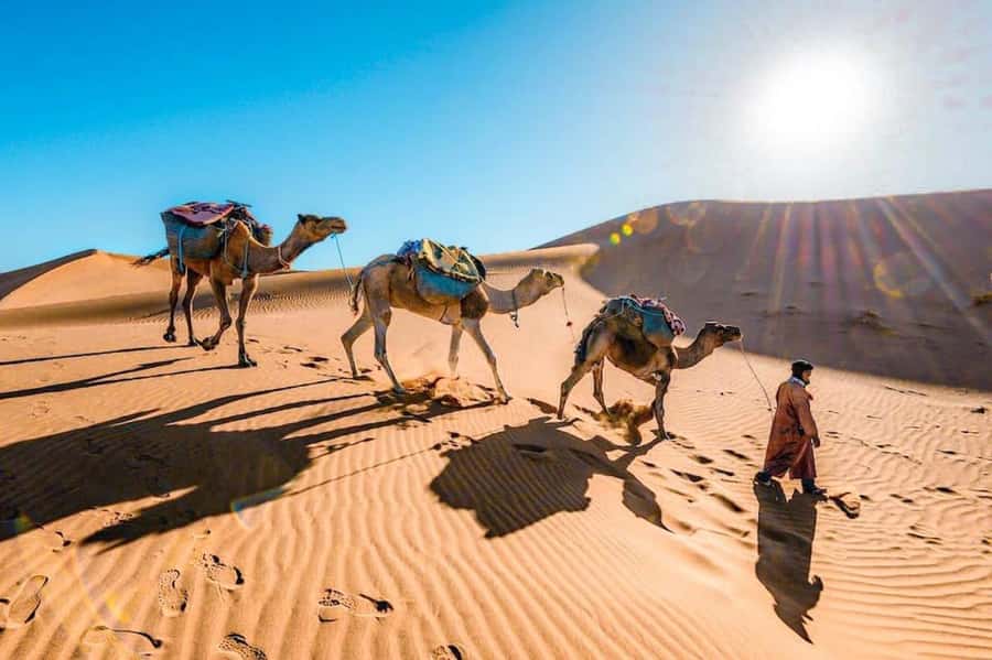 Marrakech to Fes: 3-Day Sahara Desert Tour & Camel Ride - The Desert Camp Night: Private Tent, Stars, and Berber Music