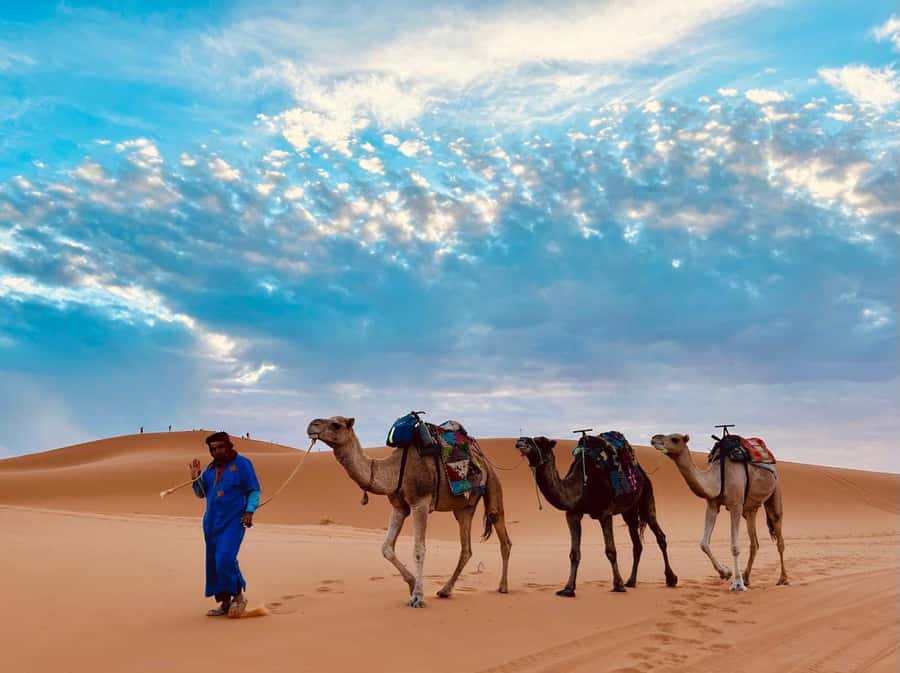 Marrakech to Fes: 3-Day Sahara Desert Tour & Camel Ride - Day 3 Sunrise and the Long (Yes, Sometimes Wi-Fi) Return to Fes