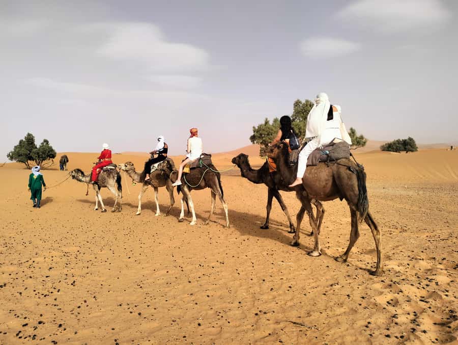 Marrakech to Fes 3 Days Sahara Desert Tour With Camel & Quad - Who this tour suits best (and who might prefer something else)