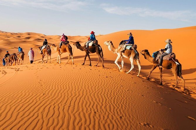 Marrakech to Fes Adventure: Uncover the Heart of Morocco - Todra Gorge and the Dadès/Toudra Walk: When Stone Gets Dramatic