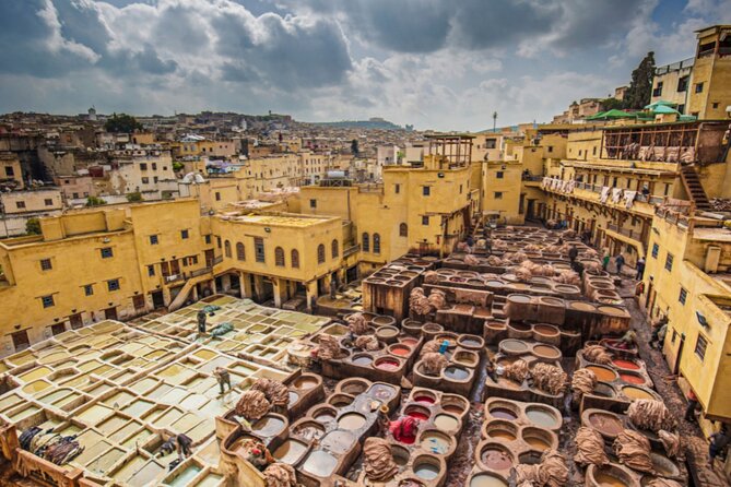 Marrakech To Fes Desert Tour 3 Days - Day 3: Sunrise Camel Return, Ziz Valley Views, and Cedar Forest to Fez