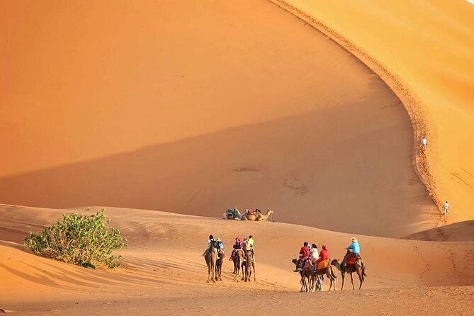 Marrakech to Fez via Merzouga Desert 3-Days | Marrakech-to-Fes - Key things I think you’ll care about