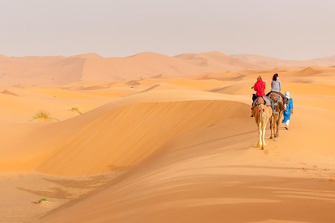 Marrakech to Fez via Merzouga Desert 3-Days Sahara Tour - Key Things I’d Put on Your Must-Do List