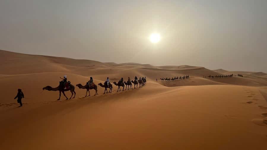 Marrakech to Merzouga: 3-Day Desert Adventure - Todra Gorge to Merzouga: the day you switch from roads to sand