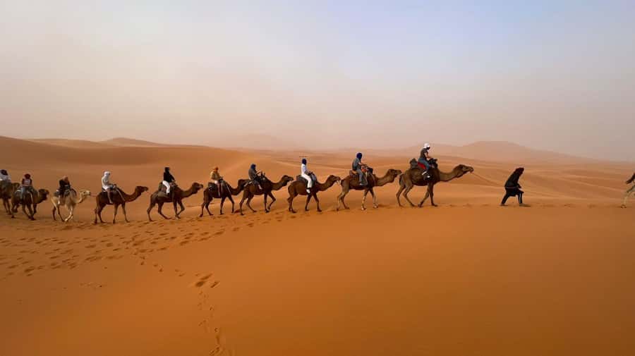 Marrakech to Merzouga: 3-Day Desert Adventure - Food on the road: what’s included, what’s not, and how to plan lunch