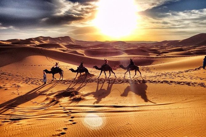 Marrakech to Merzouga 3 Day Desert Safari - From Marrakech at 7am: the pace and comfort you should expect