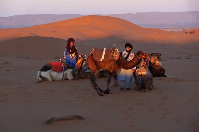 Marrakech to Merzouga 3 Day Desert Safari - What’s included, what isn’t, and where money actually goes