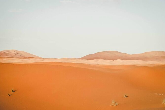 Marrakech to Merzouga 3 Day Desert Safari - Shared-tour value: is $125.56 per person a fair deal?