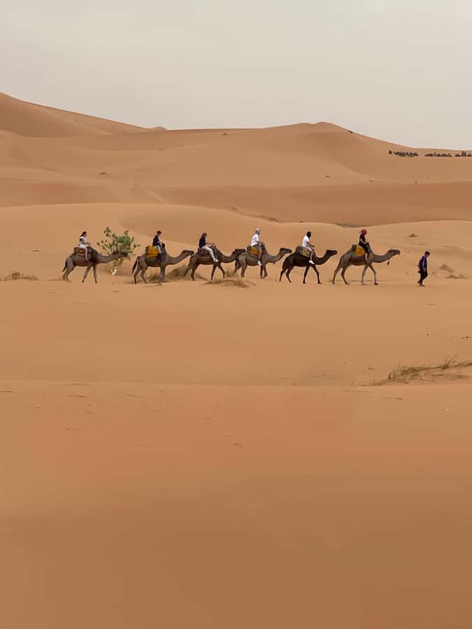 Marrakech To Merzouga : 3-Day Dreams Tours & Luxury Camp - Practical packing and comfort tips for Atlas-to-Sahara days
