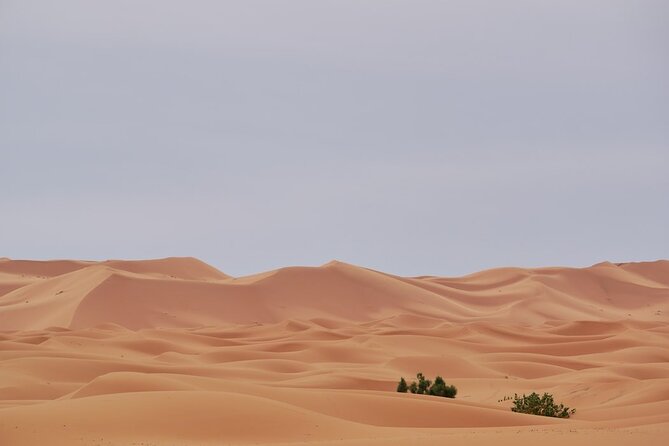 Marrakech to Merzouga 3 days Desert Tour - Guides, small groups, and why the team can make or break it