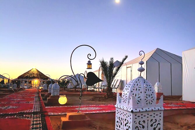 Marrakech to Merzouga: 4 Day Adventure with 2 Nights in Desert - Day 2: Todra Gorge, Erfoud Fossils, and the Road to Merzouga