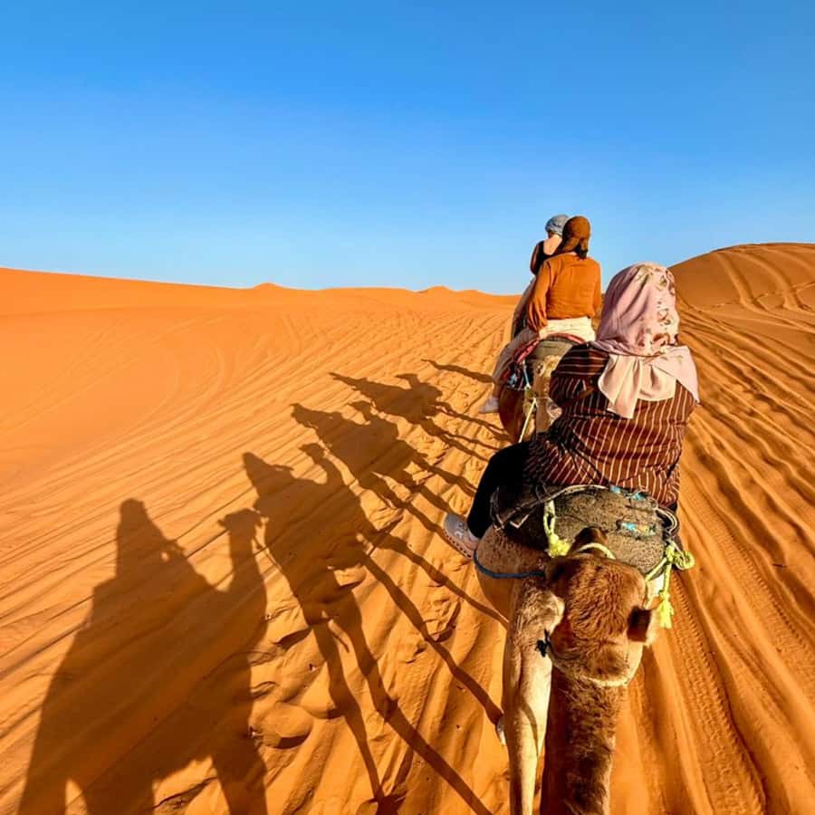 Marrakech to Merzouga Desert: 3-day tour with meals& camp - Logistics that matter: how the included transportation makes the long days bearable