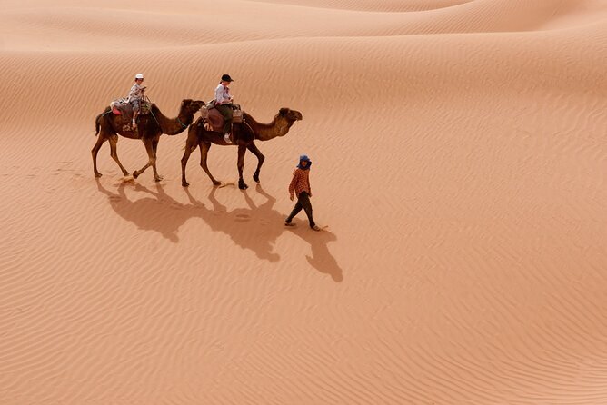 Marrakech to Merzouga Desert Tour 3 Days - Day 1: Ait Ben Haddou, Ouarzazate, and a night with an en-suite room in Dades