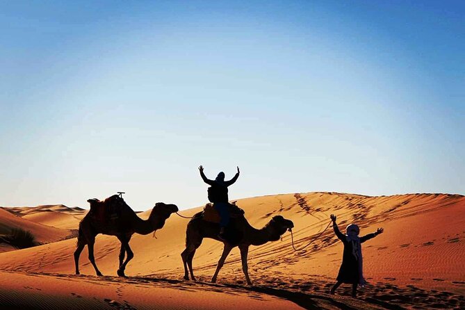 Marrakech to Merzouga Desert tour-Marrakech Desert tour 4 days - Todra Gorge and Erfoud fossils: the hands-on Morocco day