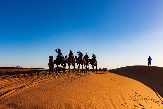 Marrakech To Merzouga Sahara Desert Tour-3 Days 2 nights Adventur - Todra Gorge and Erfoud: the road to Erg Chebbi