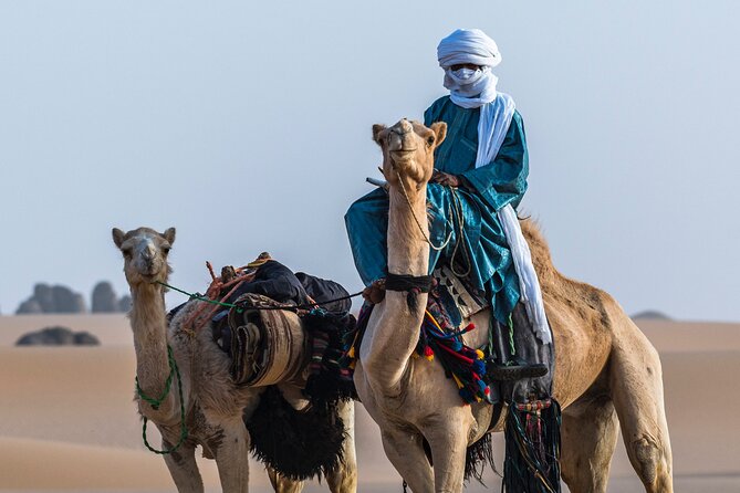 Marrakech To Merzouga Sahara Desert Tour-3 Days 2 nights Adventur - Camel sunset into the desert bivouac: the main event, done right