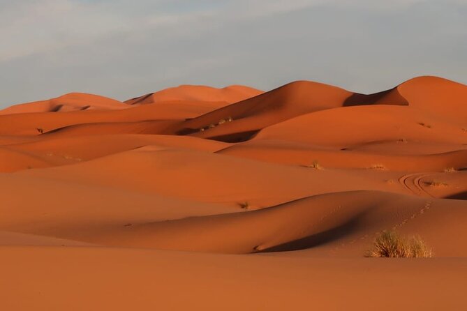 Marrakech To Merzouga Sahara Desert Tour-3 Days 2 nights Adventur - Ouarzazate and the Rose Valley: quick breaks with real payoff