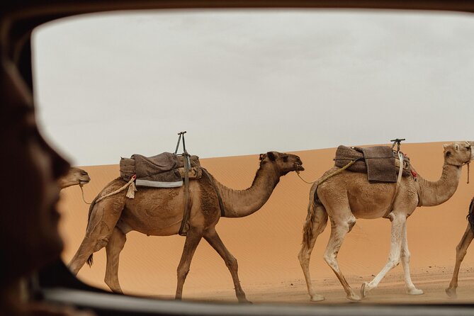 Marrakech To Merzouga Tour - Key Highlights You’ll Actually Care About