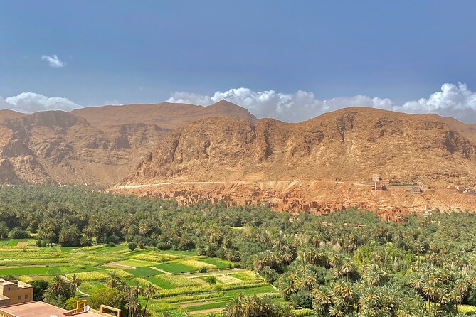 Marrakech To Merzouga Tour - Day 1: Marrakech → High Atlas Passes → Taznakht Carpets → Skoura Palms