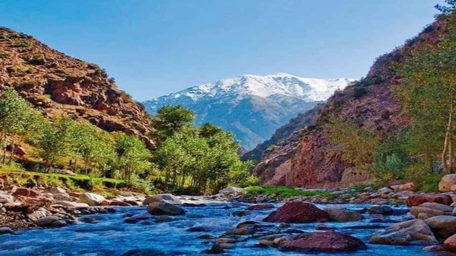 Marrakech to Ourika Valley-Scenic Day Tour Lunch & Waterfal - The fast hits you should know before you go