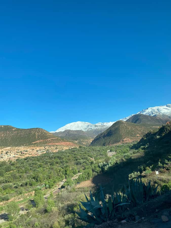 Marrakech to Ourika Valley-Scenic Day Tour Lunch & Waterfal - Price and value: what $13 buys you in the Atlas