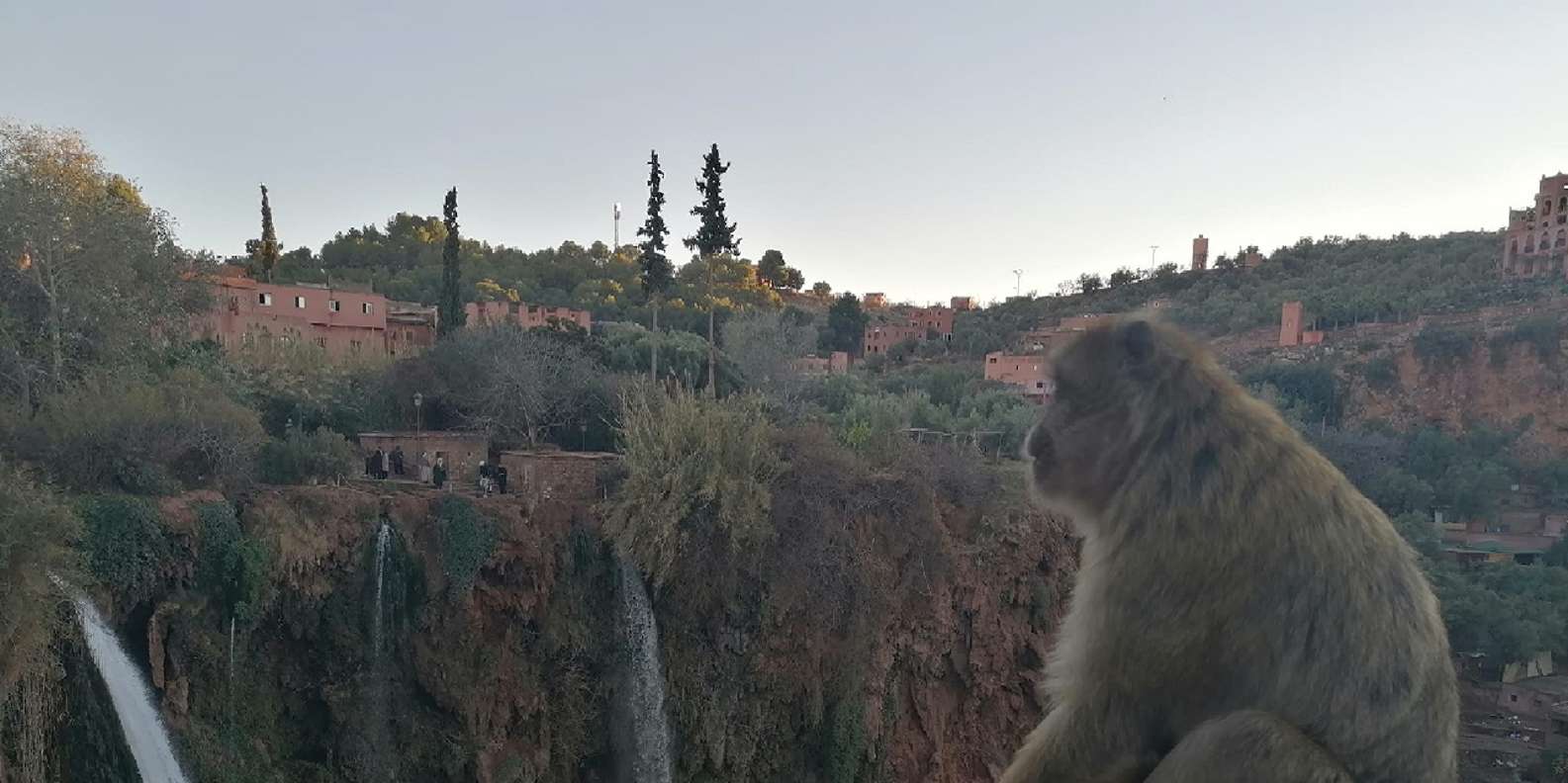 Marrakech to Ouzoud waterfalls day tour - Guide & boat ride - Orange Juice Lookout and Berber Lunch With a View