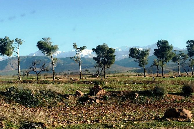 Marrakech to the Atlas Mountains: Nature, Culture& Three Valleys - Imlil Stop 1: Breakfast, Mountain Villages, and Cooperatives That Feel Real