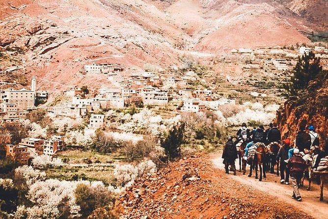 Marrakech to the Atlas Mountains: Nature, Culture& Three Valleys - The Ait Mizan Trek: Orchards, Valley Views, and a Family Berber Lunch
