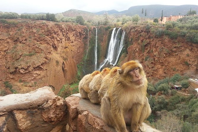 Marrakech To Waterfalls Ouzoud Day trip - Morning Pickup In Marrakech: How This Day Starts
