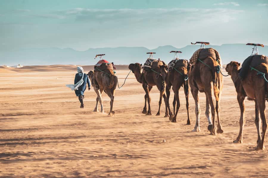 Marrakech to Zagora Desert: 2-Day trip via Ait Benhadou - Ait Benhaddou Kasbah: UNESCO time you can actually enjoy