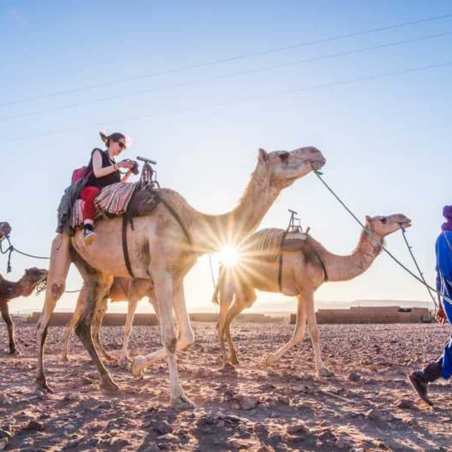 Marrakech to Zagora:2-Day Luxury Sahara Tour with Camel Ride - Draa Valley, Agdz, and the date-palm oasis logic behind Zagora