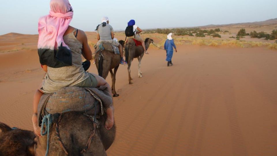 Marrakech to Zagora:2-Day Luxury Sahara Tour with Camel Ride - Price and value: what $56 covers (and what to budget)