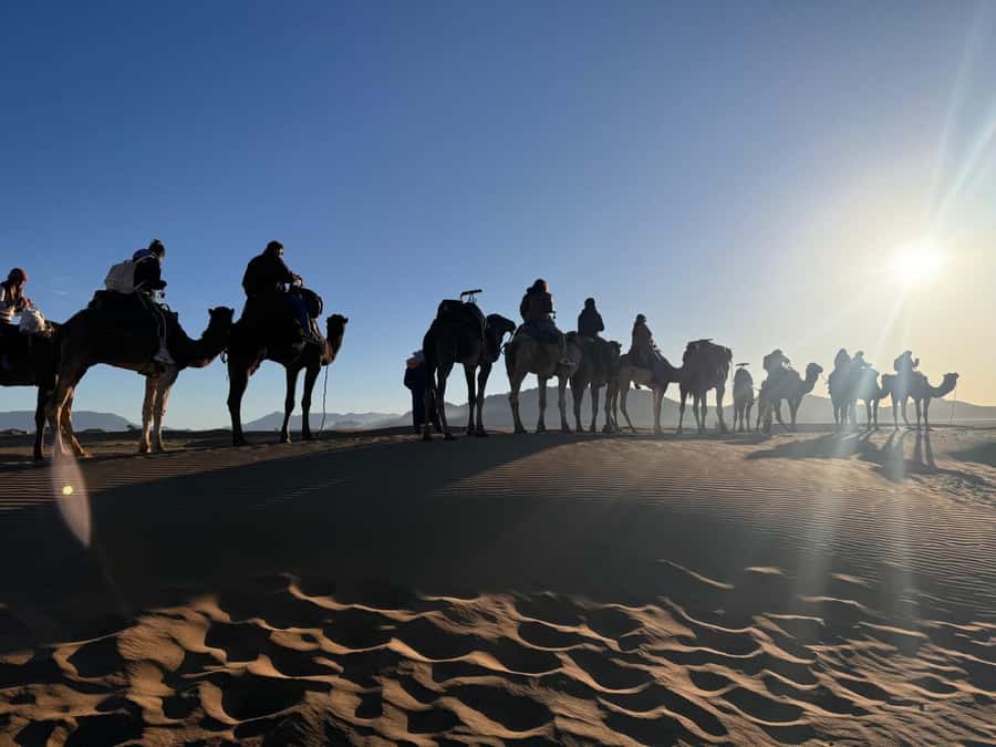 Marrakech to Zagora:2-Day Luxury Sahara Tour with Camel Ride - The High Atlas drive and Tizi n’tichka Pass views (day one’s warm-up)