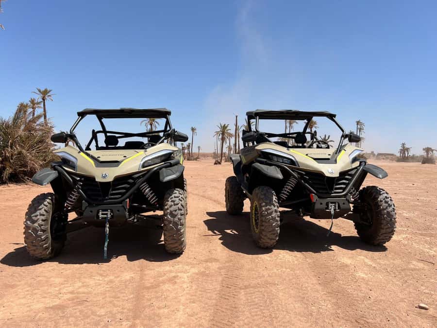 Marrakech: Tour Buggy 1000cc In Palm Oasis and Jbilat Desert - Key highlights worth your time