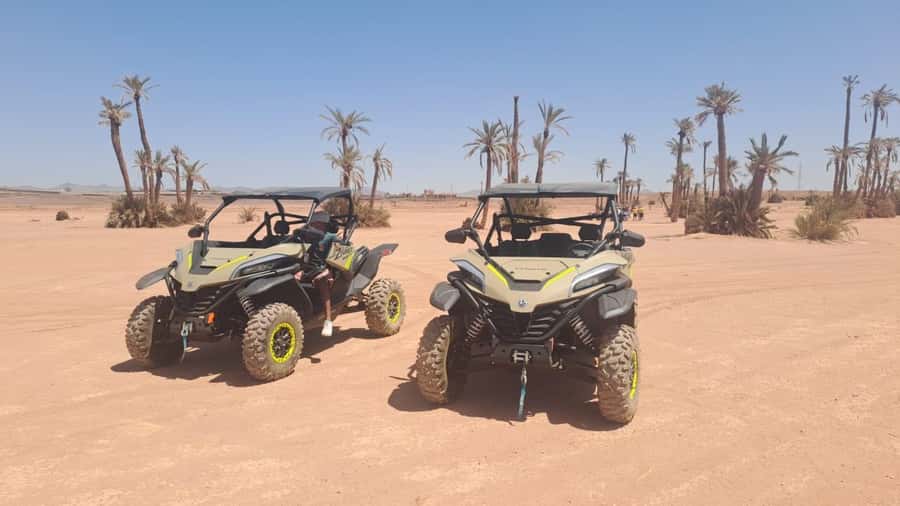 Marrakech: Tour Buggy 1000cc In Palm Oasis and Jbilat Desert - Getting to Jbilat Desert: Marrakech pickup, palm oasis setting, and your first briefing