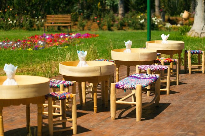 Marrakech Tour Gardens Majorelle, Menara & Anima Gardens - How this private garden tour actually feels in Marrakech