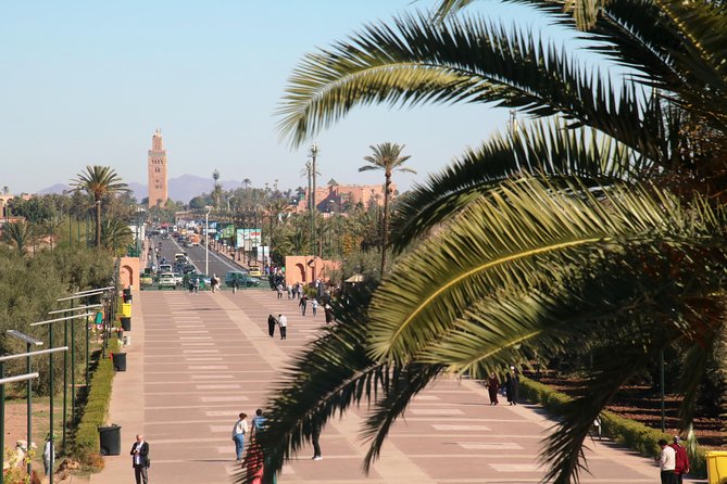 Marrakech Tour Gardens Majorelle, Menara & Anima Gardens - The drive time and why it’s part of the value