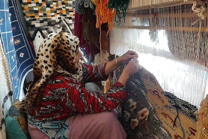 Marrakech Tour: Ourika Valley, Atlas Mountains , Waterfalls - Price and logistics: why this is good value at about $20