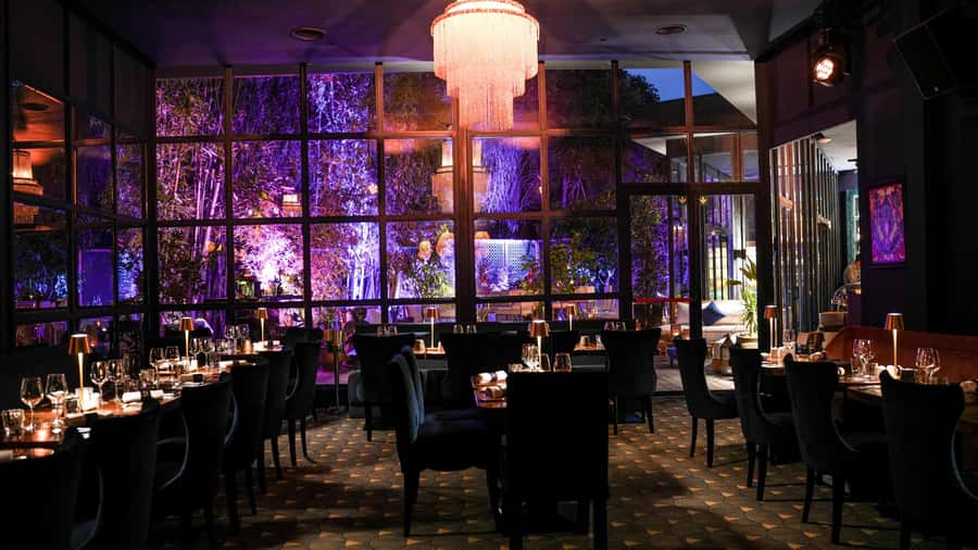 Marrakech: Vibrant Dinner Show at The Lotus Club - The show itself: singers, aerial acts, dancers, and circus-style energy