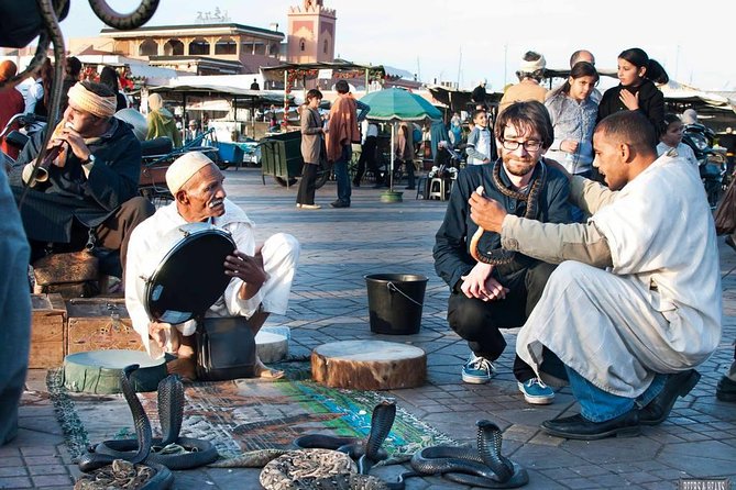 Marrakech walking tour with official city guide - Meeting at Jemaa el-Fna: logistics that reduce stress