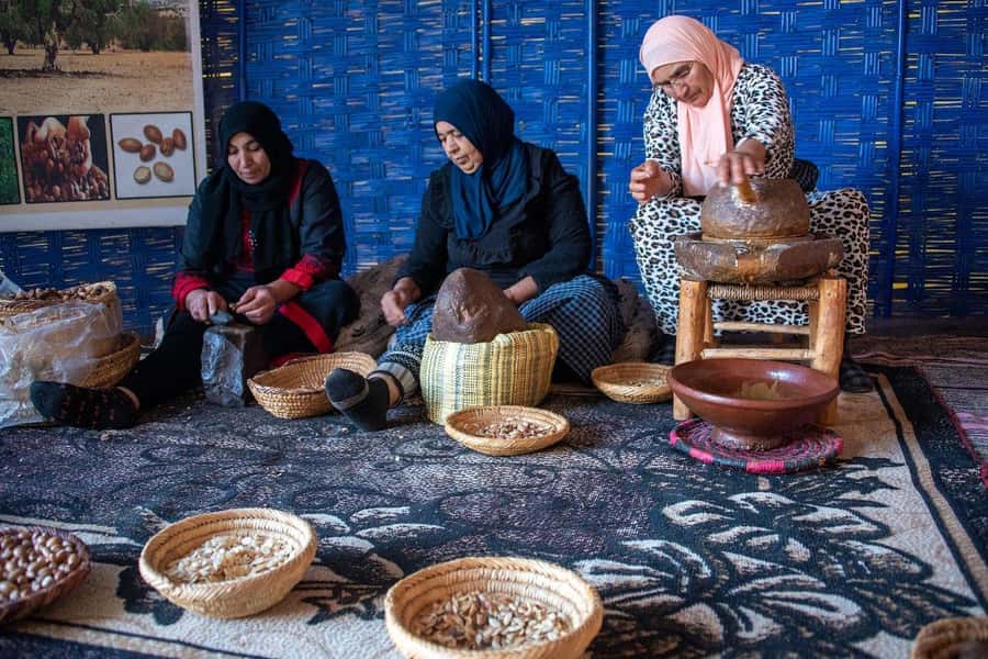 Marrakech: Waterfall, Valley, Atlas Mountain, Camel & Desert - Key moments to look forward to