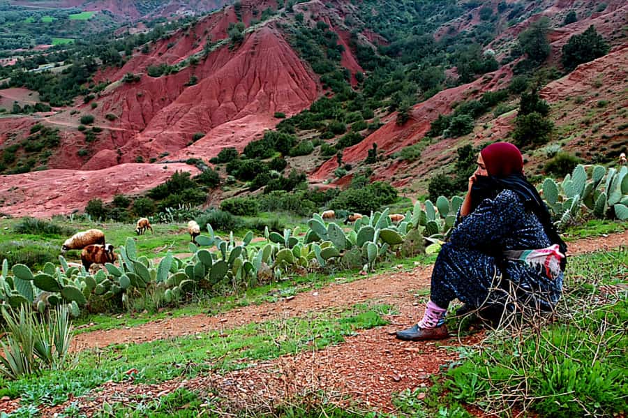 Marrakech: Zipline and Breakfast in the Atlas Mountains - FAQ