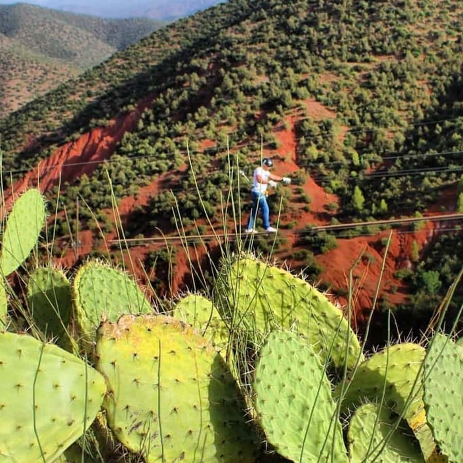 Marrakech: Zipline and Breakfast in the Atlas Mountains - Should you book Discover Atlas Mountain’s Marrakech zipline and argan breakfast?