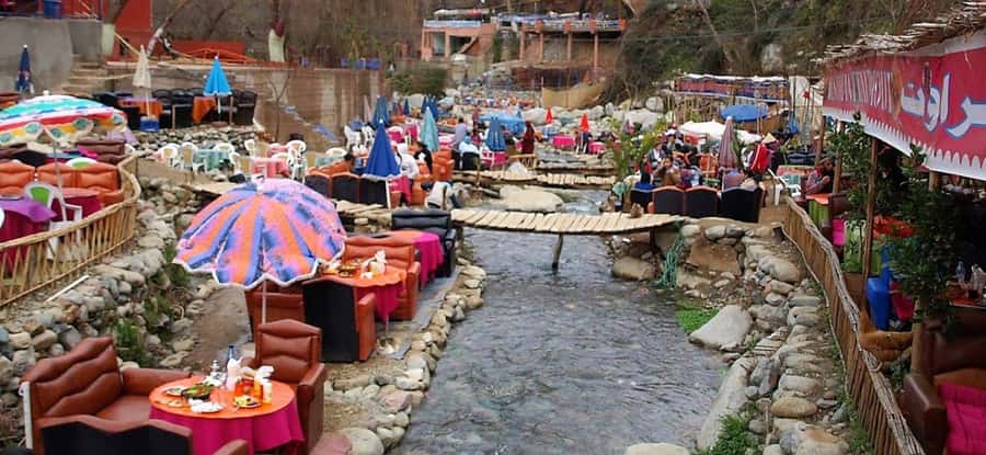 Marrakech:Atlas Mountains, Ourika Valley Day Trip,Waterfall - Argan oil in action: what you’re really seeing at the cooperative