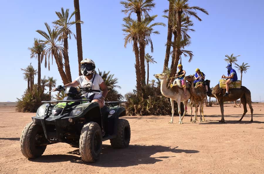 Marrakech:excursion quad in Oasis palm & jbilat desert,tea - The ride through Palmeraie: palms, dunes, and stops for photos