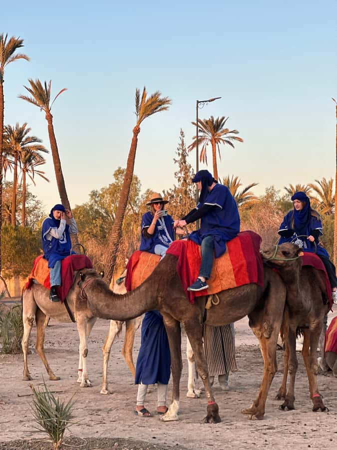 Marrakech:quad excursion at Jbilet desert with Moroccan tea - Quad Bikes Through Jbilet Desert and Marrakech Palm Grove