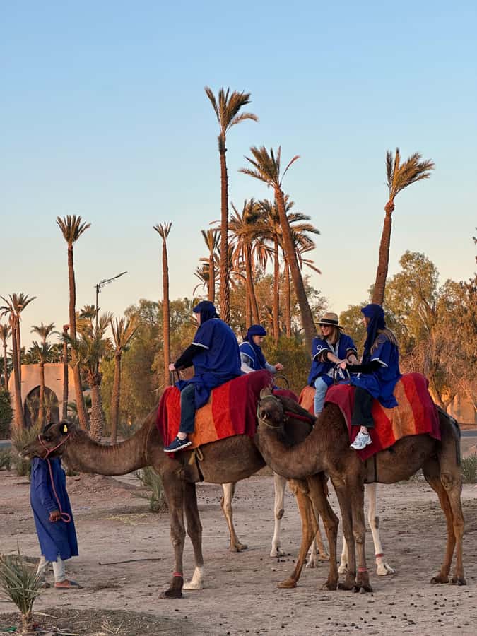 Marrakech:quad excursion at Jbilet desert with Moroccan tea - Hotel Transfer: Smooth Pickup, Hot-Minibus Possibility